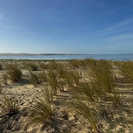 Cabanon Regina Lège-Cap-Ferret