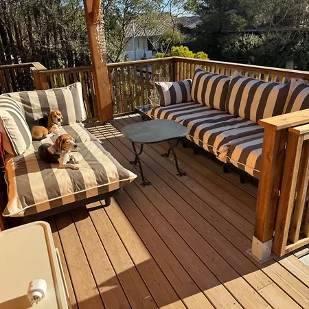 Holiday home Cabanon Regina