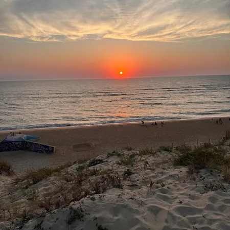 Cabanon Regina بيت للعطل Lège-Cap-Ferret