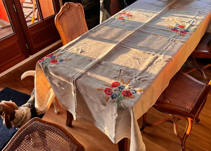 度假居 Cabanon Regina