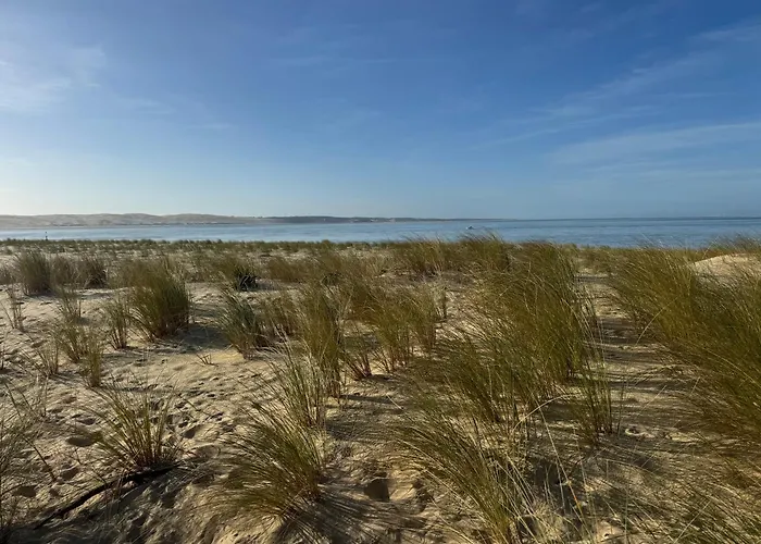 Cabanon Regina Lège-Cap-Ferret